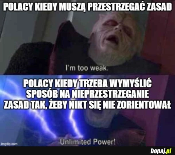 
    Kombinacja norwes... polska