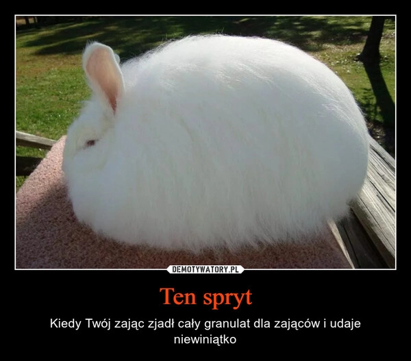 
    Ten spryt