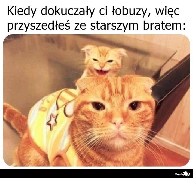 
    Już nie tak wesoło 