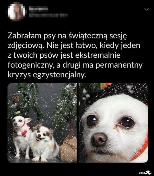 
    Na to wygląda 