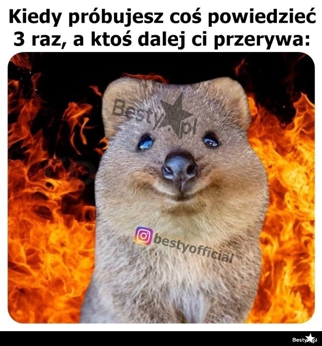 
    Idzie się zagotować 