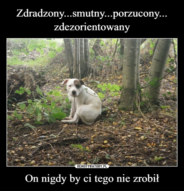 
    Zdradzony...smutny...porzucony... zdezorientowany On nigdy by ci tego nie zrobił