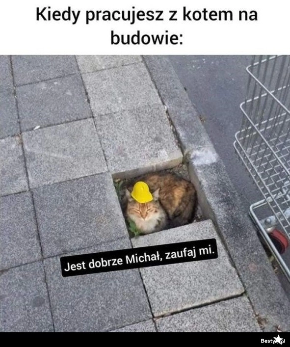 
    Tak ma być 