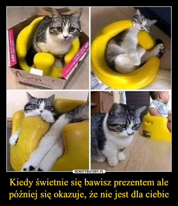 
    Kiedy świetnie się bawisz prezentem ale później się okazuje, że nie jest dla ciebie 