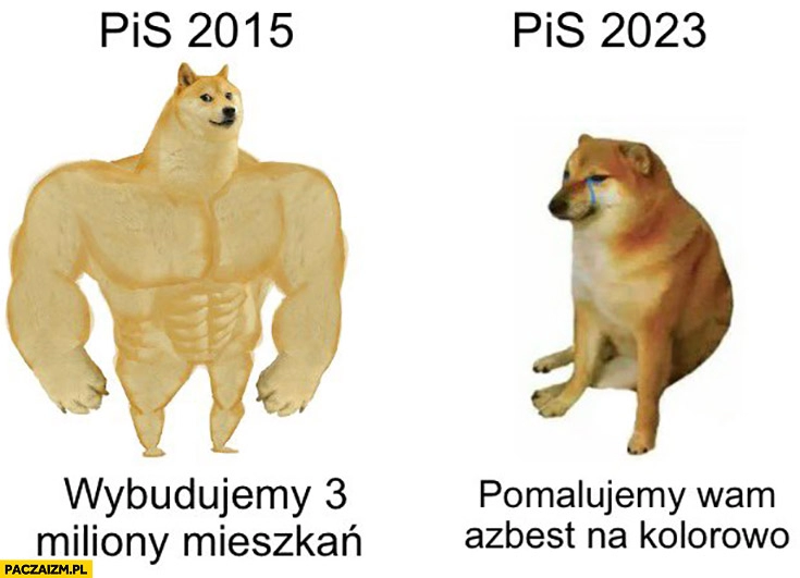 
    PiS 2015 wybudujemy 3 miliony mieszkań vs 2023 pomalujemy wam azbest na kolorowo pies pieseł doge cheems