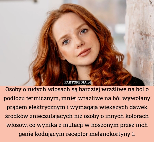
    Osoby o rudych włosach są bardziej wrażliwe na ból o podłożu termicznym,