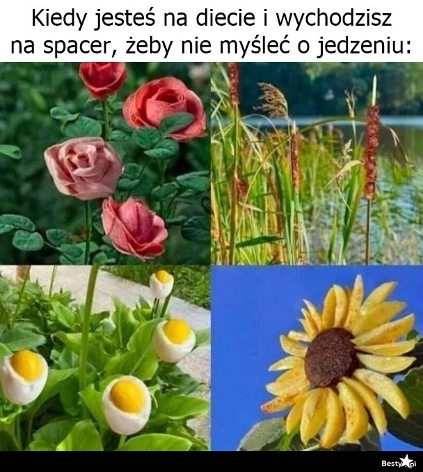 
    Plan się nie powiódł 