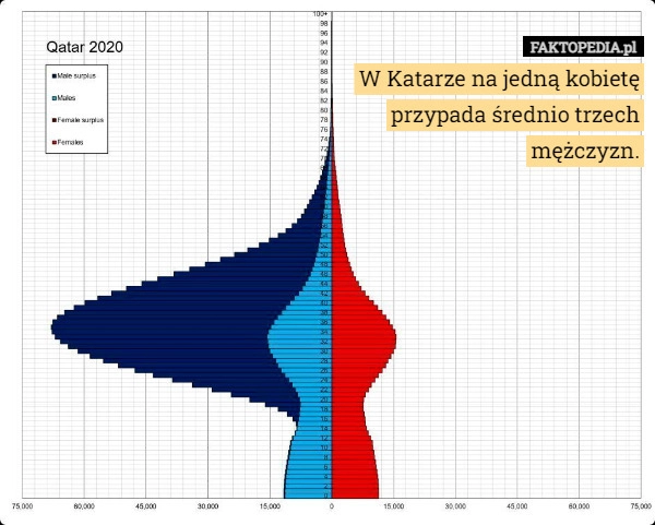 
    
			W Katarze na jedną kobietę przypada średnio trzech mężczyzn.					