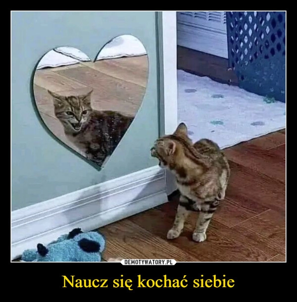 
    Naucz się kochać siebie