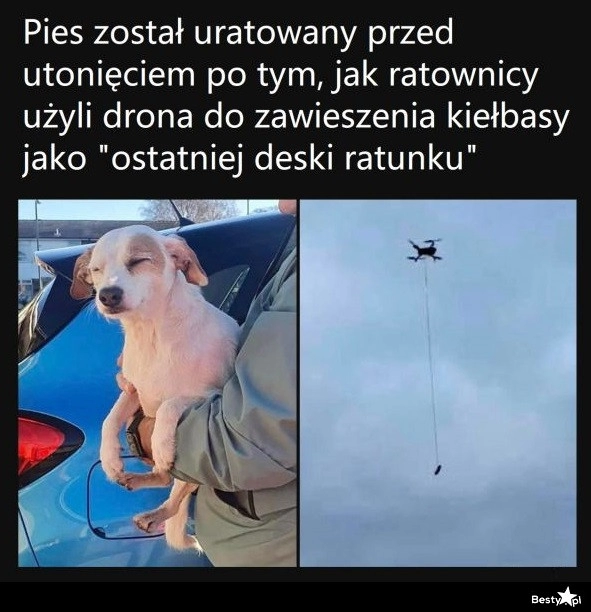 
    Latająca kiełbaska 