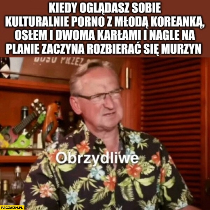 
    Cejrowski kiedy oglądasz sobie kulturalnie film dla dorosłych z młodą Koreanką, osłem i dwoma karłami i nagle na planie pojawia się murzyn obrzydliwe