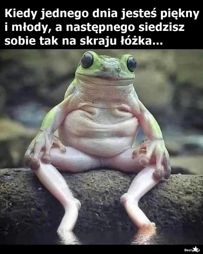 
    Kiedy to zleciało? 