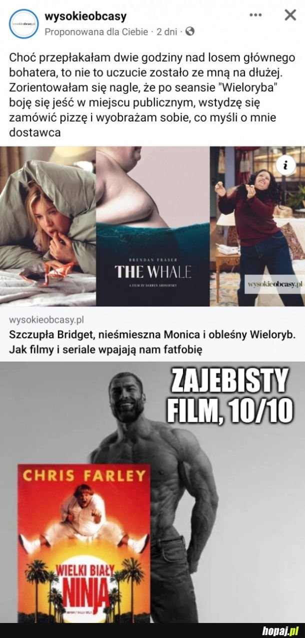 
    Filmy i seriale wpajające fatfobię