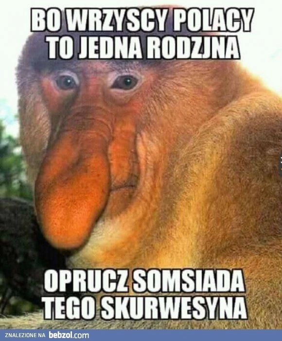 
    Polacy to jedna rodzina? 