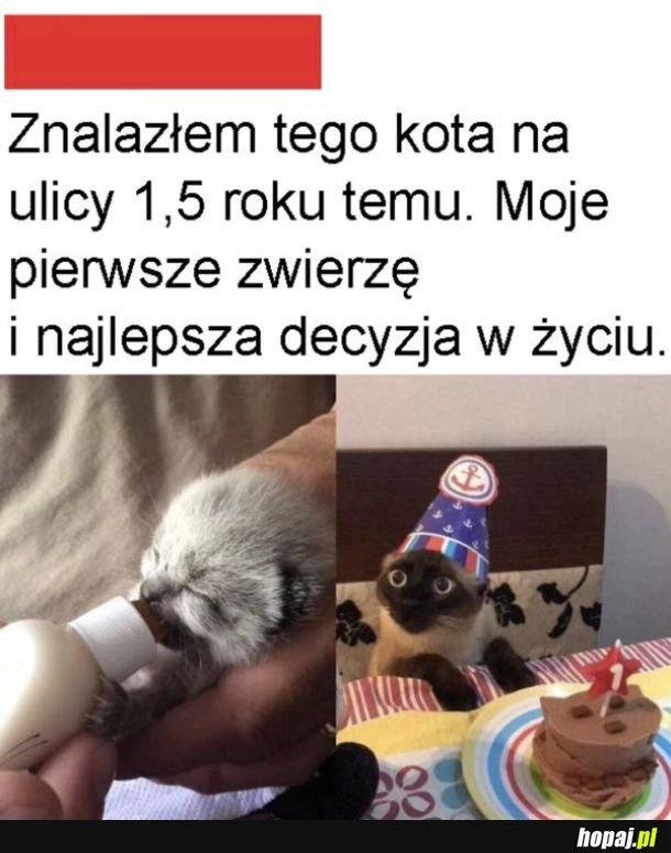 
    Słodziak