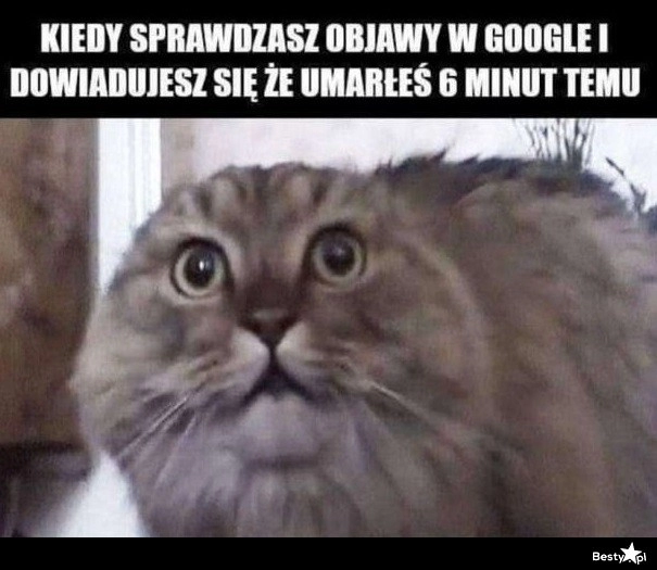 
    Lekarz Google 