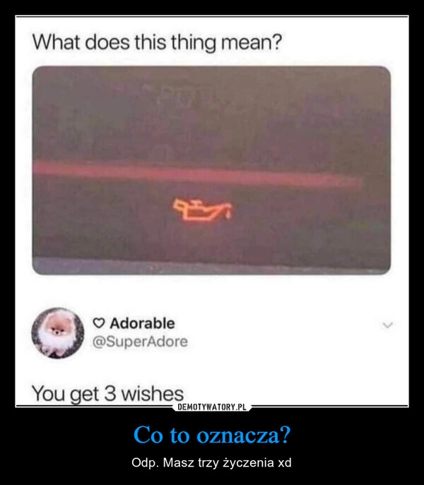 
    Co to oznacza?