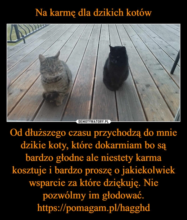 
    Na karmę dla dzikich kotów Od dłuższego czasu przychodzą do mnie dzikie koty, które dokarmiam bo są bardzo głodne ale niestety karma kosztuje i bardzo proszę o jakiekolwiek wsparcie za które dziękuję. Nie pozwólmy im głodować.
https://pomagam.pl/hagghd