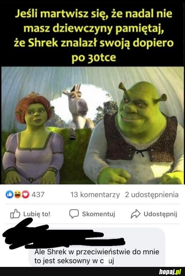 
    Shrek