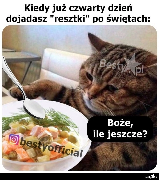 
    Resztki po świętach 