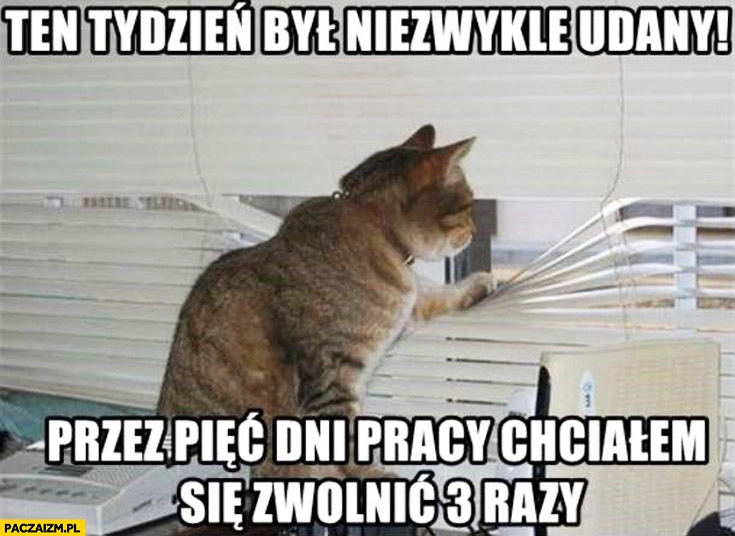 
    Tydzień był niezwykle udany przez pięć dni pracy chciałem się zwolnić 3 razy