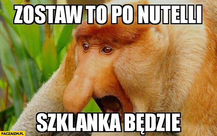 
    Zostaw to po Nutelli, szklanka będzie. Słoik typowy Polak nosacz małpa