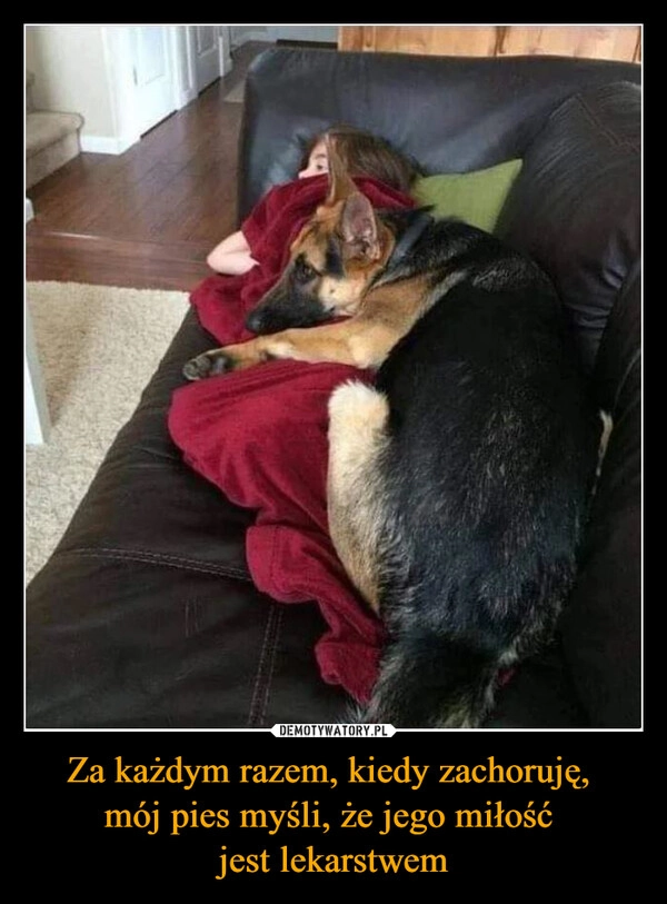 
    Za każdym razem, kiedy zachoruję, 
mój pies myśli, że jego miłość 
jest lekarstwem