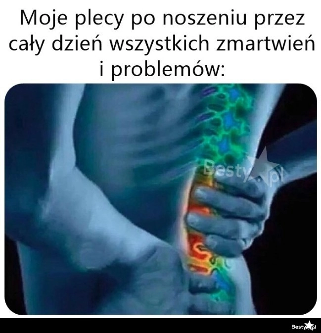 
    Trochę dźwigają 