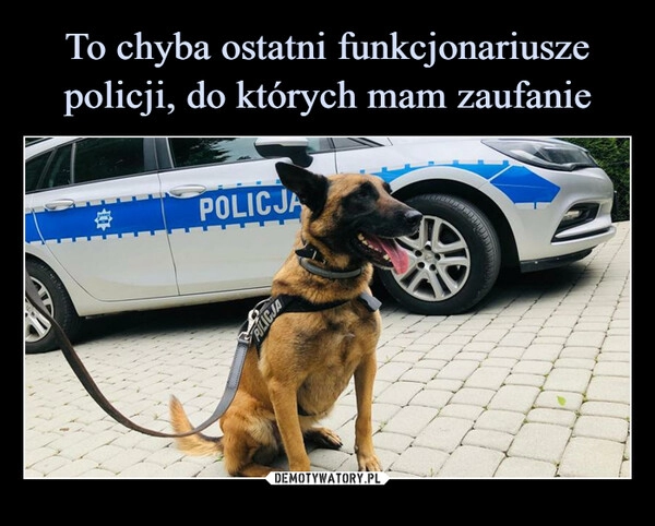 
    To chyba ostatni funkcjonariusze policji, do których mam zaufanie