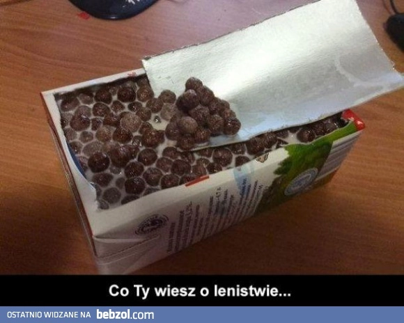 
    Co ty wiesz o lenistwie