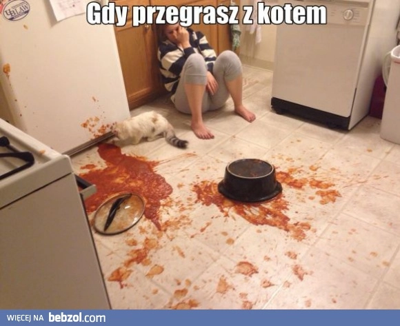 
    Gdy przegrasz z kotem...