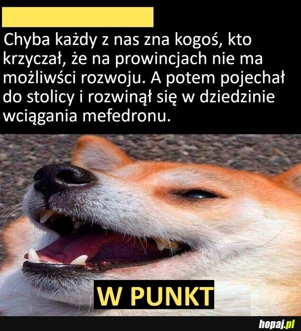 
    Dokładnie