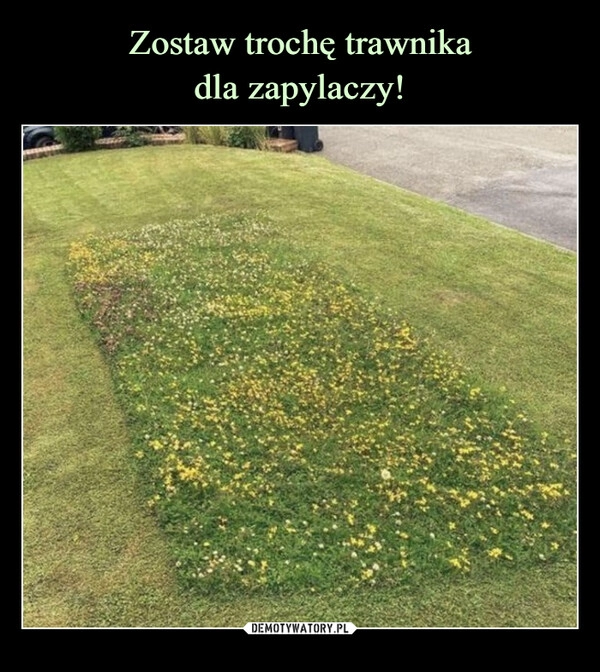 
    Zostaw trochę trawnika
dla zapylaczy!