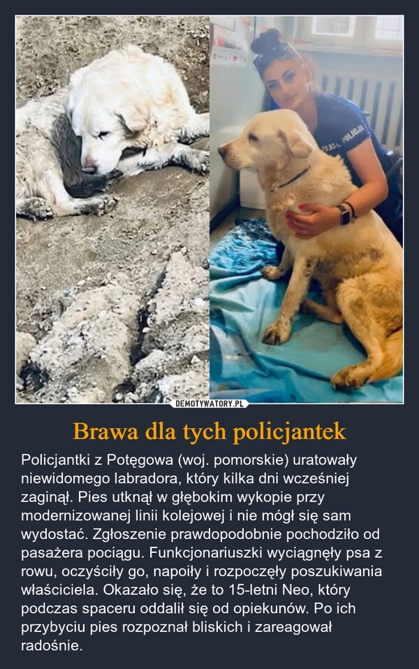 
    Brawa dla tych policjantek