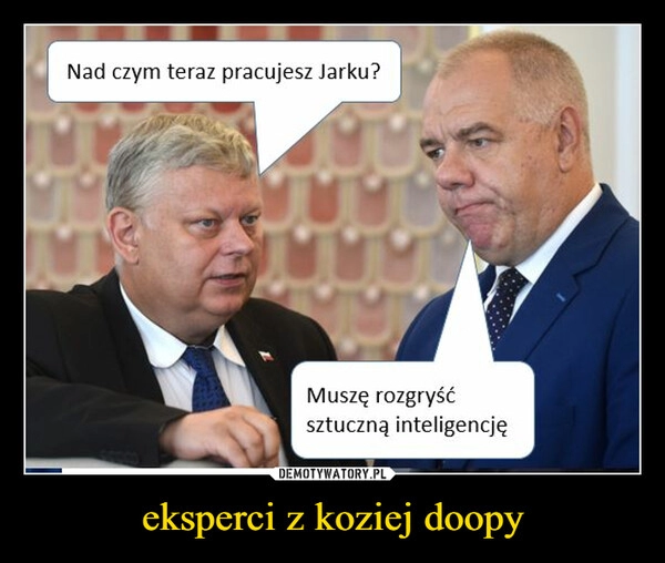 
    eksperci z koziej doopy