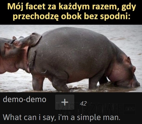 
    Mój facet