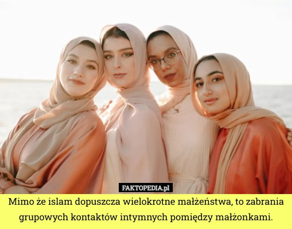 
    Mimo że islam dopuszcza wielokrotne małżeństwa, to zabrania grupowych kontaktów