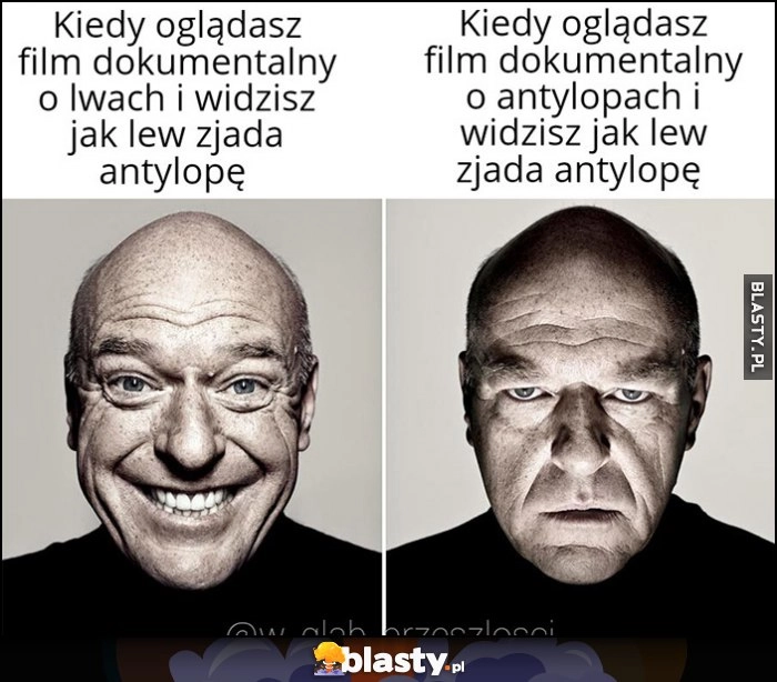 
    Kiedy oglądasz film dokumentalny o lwach i widzisz jak lew zjada antylopę vs o antylopach i widzisz to samo