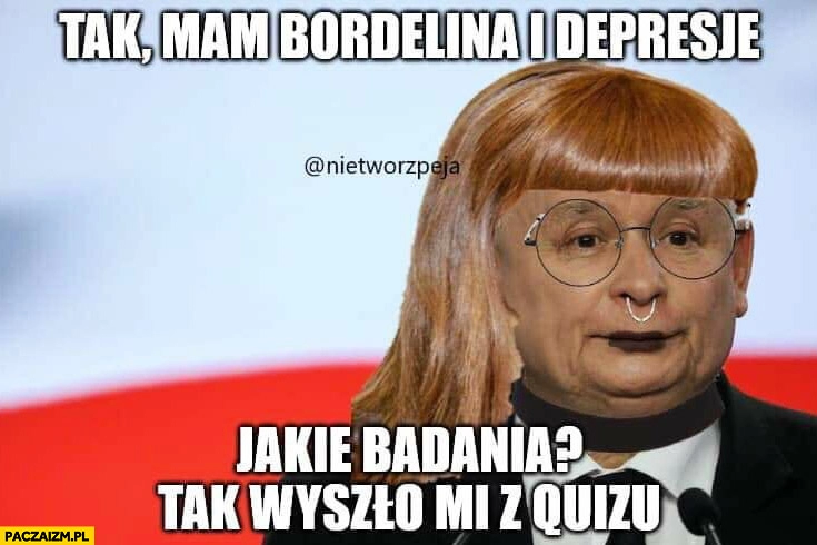 
    Kaczyński tak mam borderline i depresję, jakie badania wyszło mi z quizu