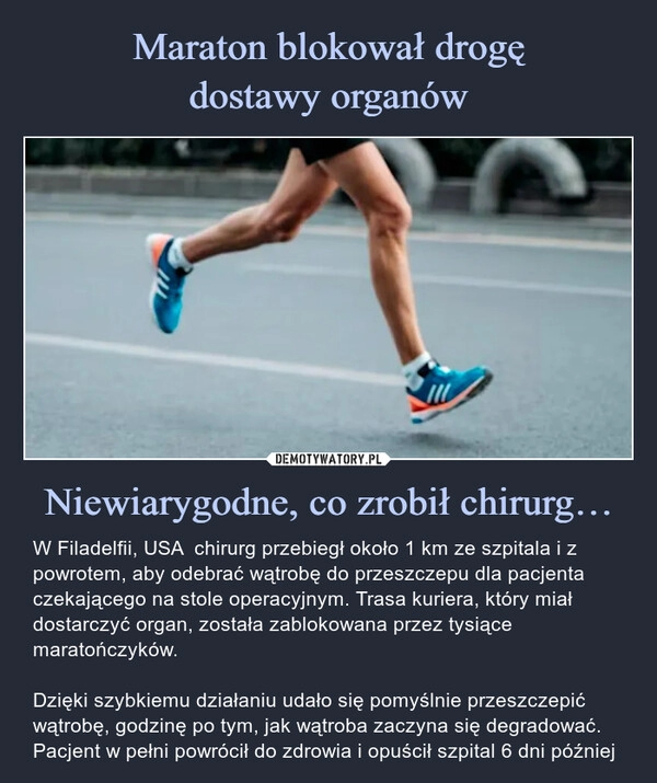 
    Maraton blokował drogę
dostawy organów Niewiarygodne, co zrobił chirurg…