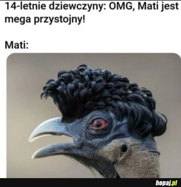 
    Mati