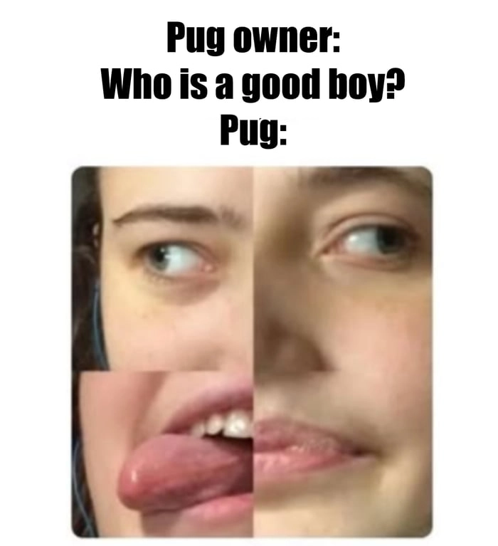 
    Doggo (•ᴥ•)