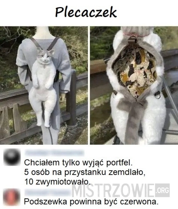 
    Plecaczek