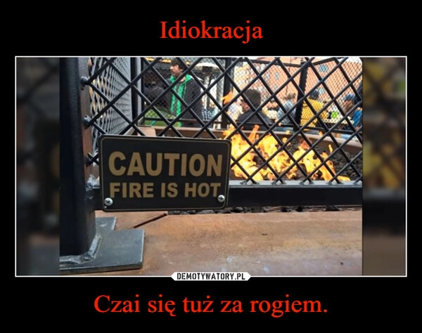 
    Idiokracja Czai się tuż za rogiem.