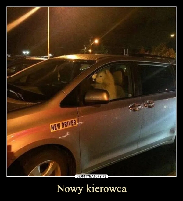 
    Nowy kierowca