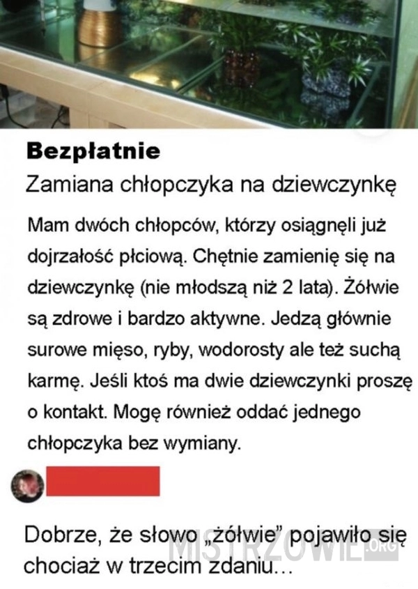 
    Mogło być kontrowersyjnie