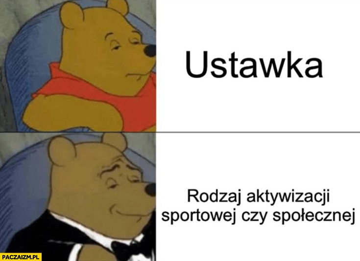 
    Ustawka rodzaj aktywizacji sportowej czy społecznej Kubuś Puchatek