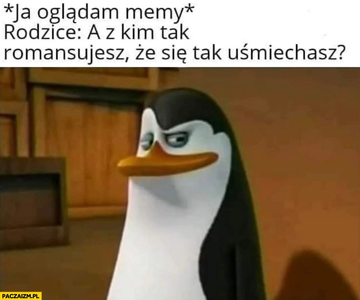 Pingwin ja oglądam memy, rodzice: z kim tak romansujesz, że się tak uśmiechasz?