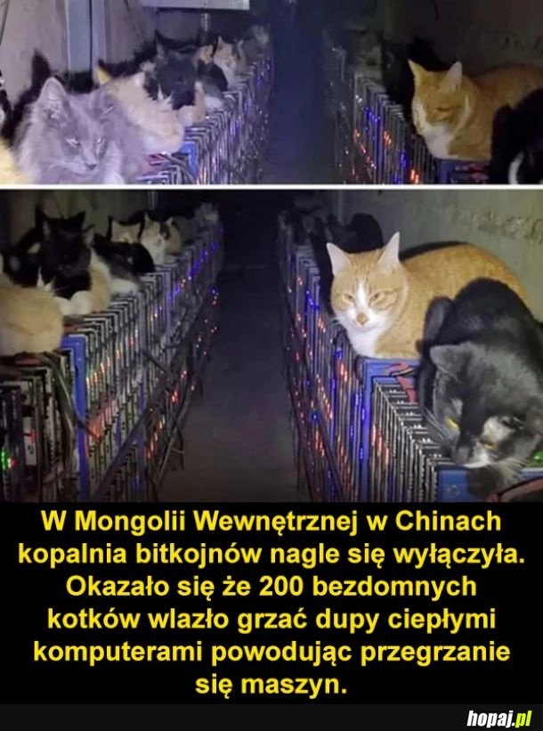 
    Kopalnia bitcoinów