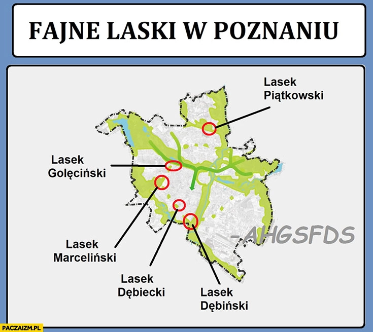 
    Fajne laski w Poznaniu ahgsfds: Lasek Piątkowski, Goleciński, Marceliński, Dębiecki, Dębiński